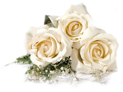 Paola Motta per il tuo Matrimonio