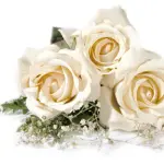 Paola Motta per il tuo Matrimonio