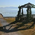 Organizzazione eventi e noleggio gazebo